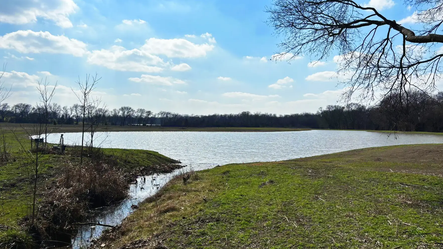 Large farm pond on flat open ground with a bare winter treeline